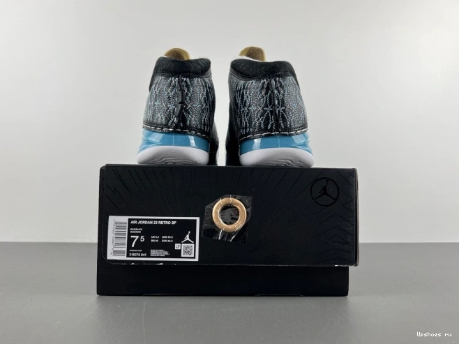   318376-041 UNC Jordan 23 0209